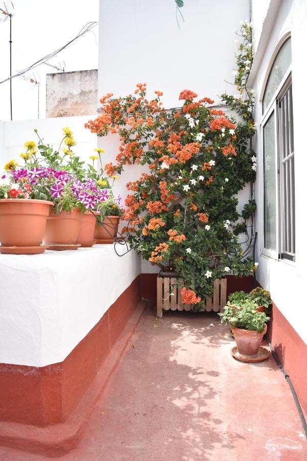 Apartamento La Discusion De Veedor 12 Cádiz Exteriér fotografie